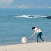 qq2013̬ͷȫԭ ϲ_www.qqming.com