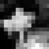 ˧ͷ񣬽ʽˣһ̲ס_www.qqming.com