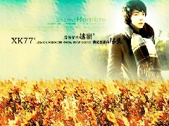 ΨQQ2013ƤأǲԶô¸ңϲ