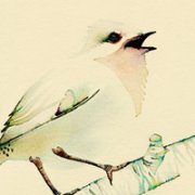 2013ƯɽˮͷͼƬ _www.qqming.com