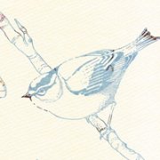 2013ƯɽˮͷͼƬ _www.qqming.com
