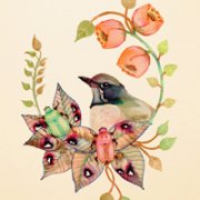 2013ƯɽˮͷͼƬ _www.qqming.com