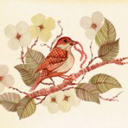 2013ƯɽˮͷͼƬ _www.qqming.com
